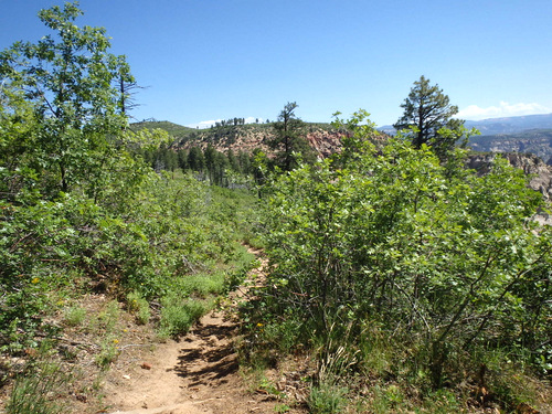 West Rim Trail.