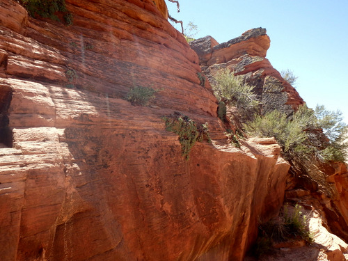 The Grotto Trail.