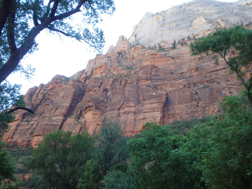 Cycling through Zion NP's Virgin Valley.