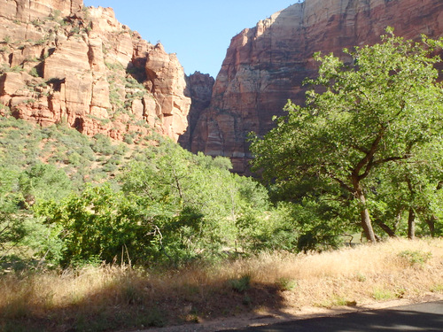 Cycling through Zion NP's Virgin Valley.