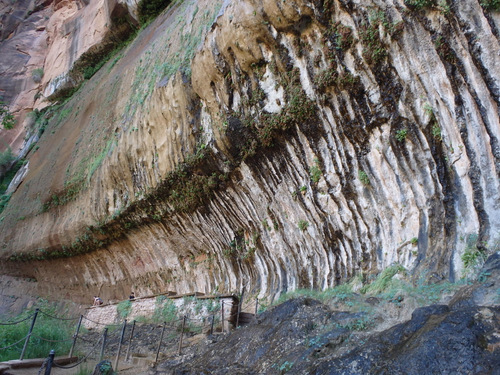 Cycling through Zion NP's Virgin Valley.