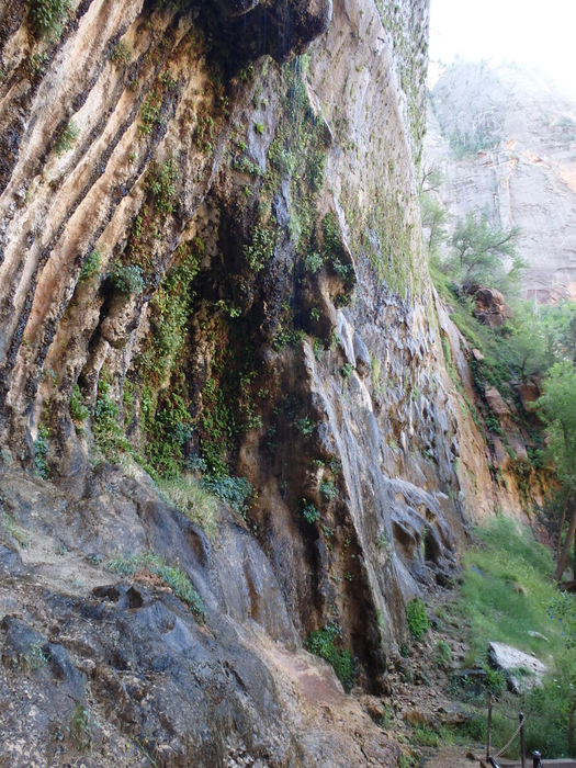 The Weeping Rock.