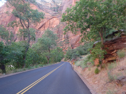 Cycling through Zion NP's Virgin Valley.