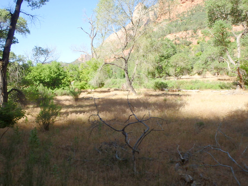 Cycling through Zion NP's Virgin Valley.