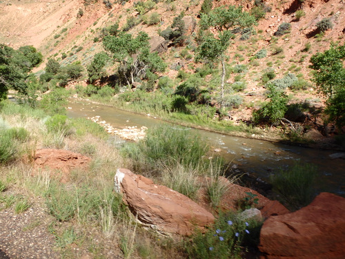 Cycling through Zion NP's Virgin Valley.