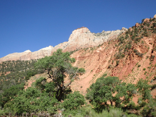 Cycling through Zion NP's Virgin Valley.