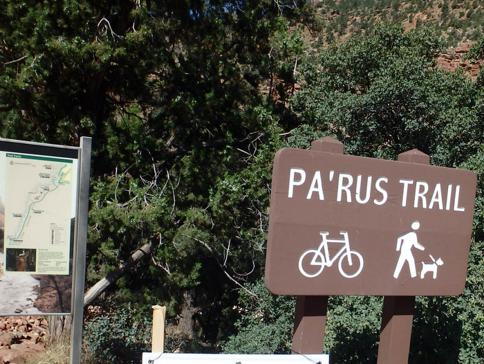 Cycling through Zion NP's Virgin Valley.