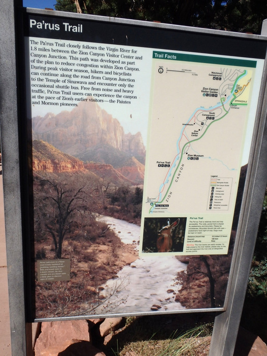 Cycling through Zion NP's Virgin Valley.