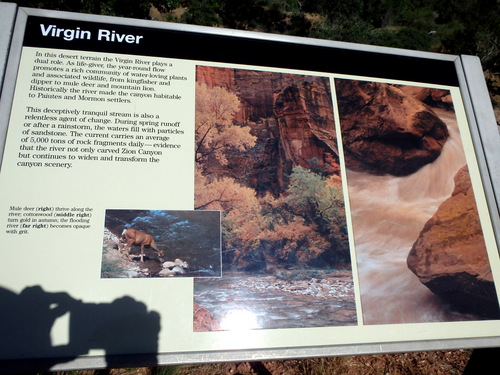 Cycling through Zion NP's Virgin Valley.