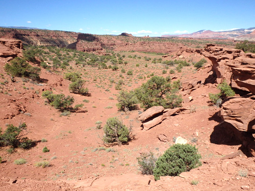 Capitol Reef National Park.