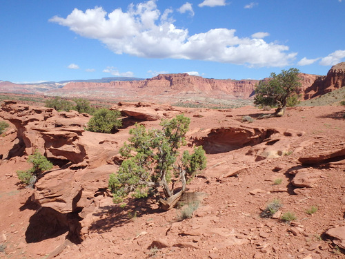 Capitol Reef National Park.