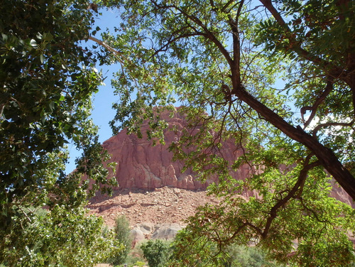 Ride through Fruita, Utah.