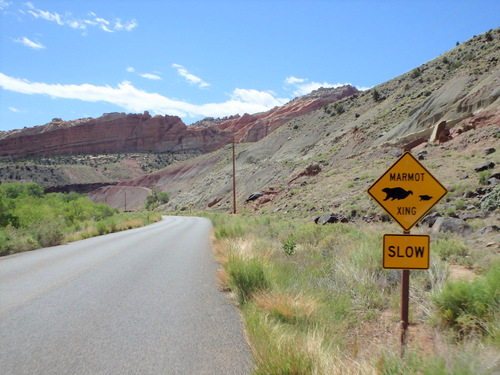 Ride through Fruita, Utah.