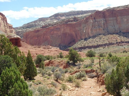 Capitol Reef National Park.