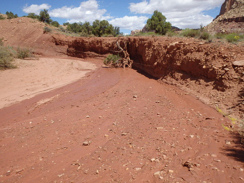 Capitol Reef National Park.