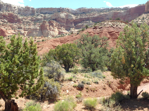 Capitol Reef National Park.