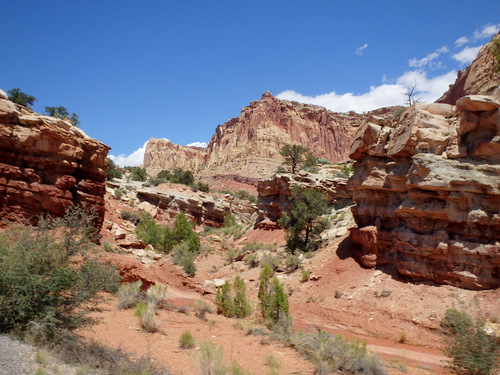 Capitol Reef National Park.