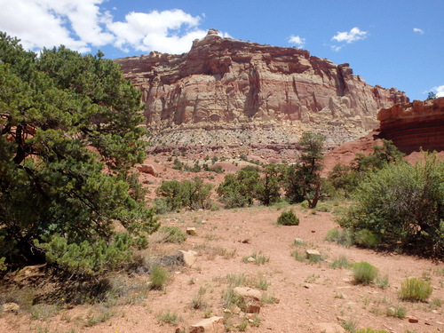 Capitol Reef National Park.