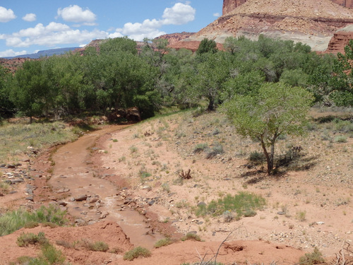 Cycling through Fruita, Utah.