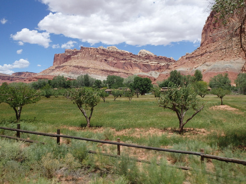 Cycling through Fruita, Utah.