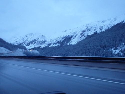 Vail Pass, Colorado, at about 10,000' MSL, 22 June 2019.