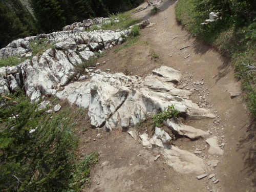 At first it looks like snow but this appears to be an outcrop of what might be white marble.