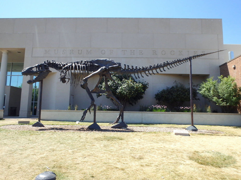 Museum of the Rockies.