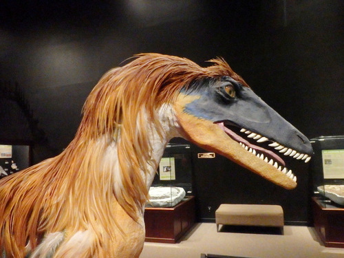 Close-Up of the Deinoychus Head.