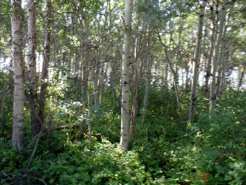 Riding the leg toward Babb, MT.