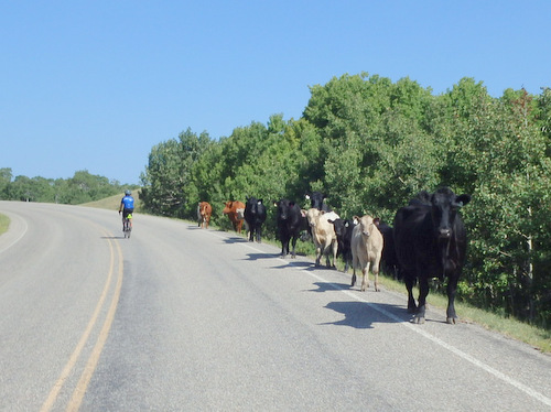 Riding the MT-17 leg to the Canadian Port of Entry.