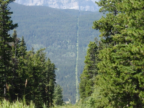 USA/Canada Border, looking west and downhill.