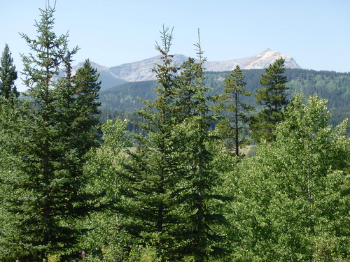 A view west from our Belly River Picnic Area Site.