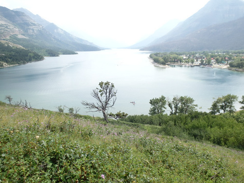 Artistic photo shot of Middle Waterton Lake.