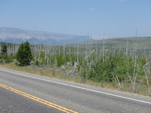 Southbound on US-89 - Blackfeet Indian Reservation.