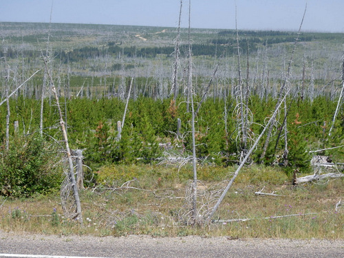 Southbound on US-89 - Blackfeet Indian Reservation.