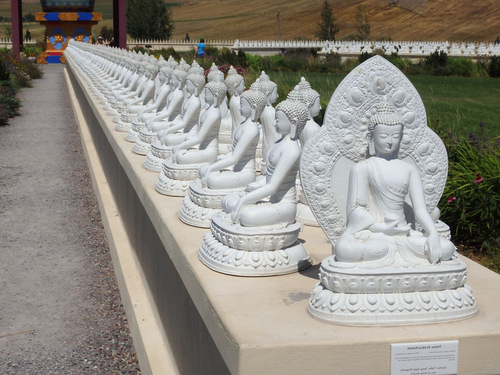 One-Thousand Buddhas.