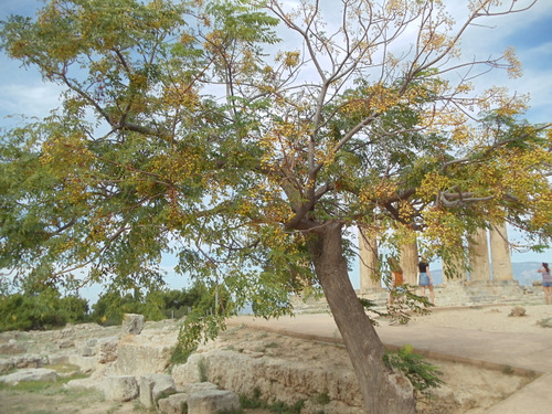 Ancient Corinth.