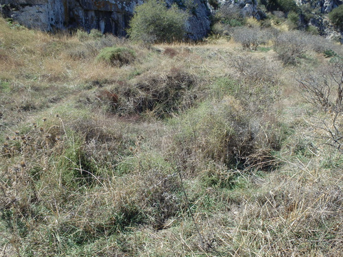 Acrocorinth.