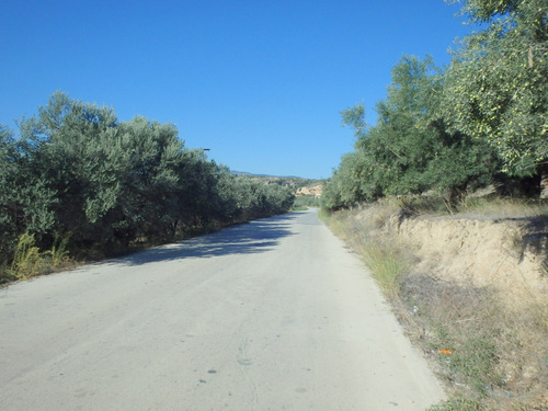 Greek countryside.