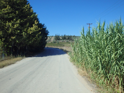 Loop ride from Corinth to Nemea.