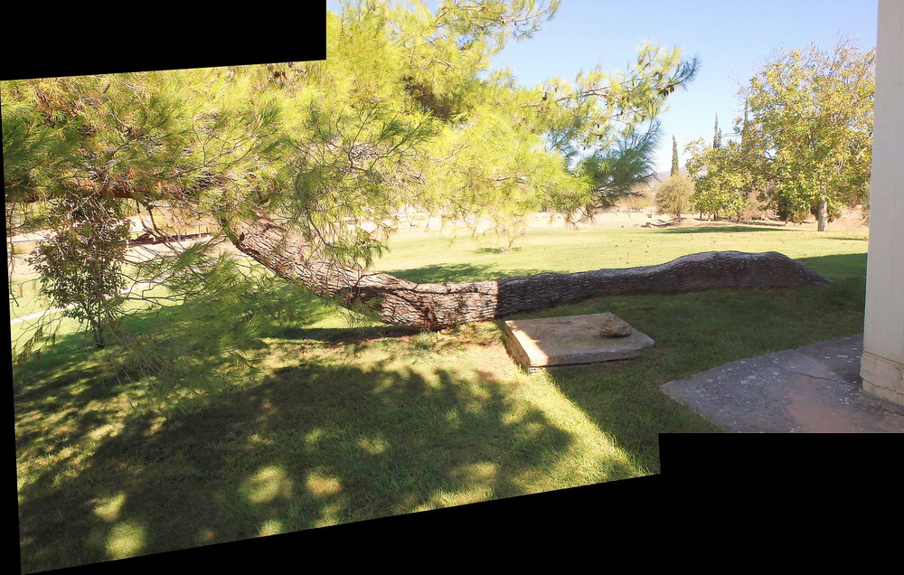 This Spirit Tree at the Temple of Zeus, Nemea, Greece.