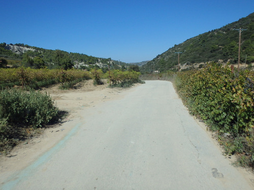 Return Ride, Nemea to Corinth.