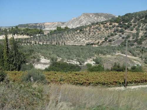 Return Ride, Nemea to Corinth.