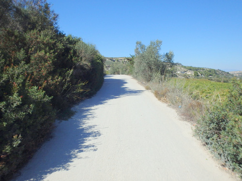 Return Ride, Nemea to Corinth.