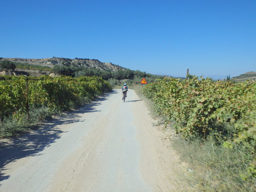 Splitting the grapes.