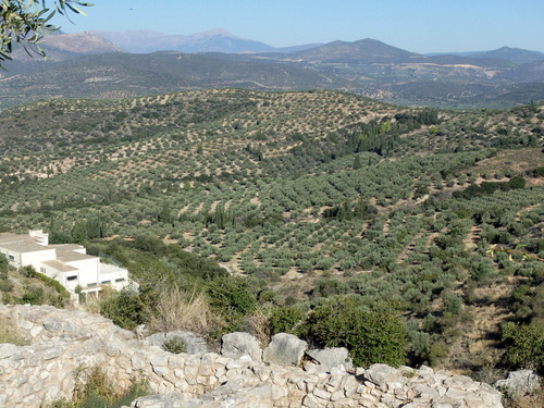 A view toward the hillside and the Museum.