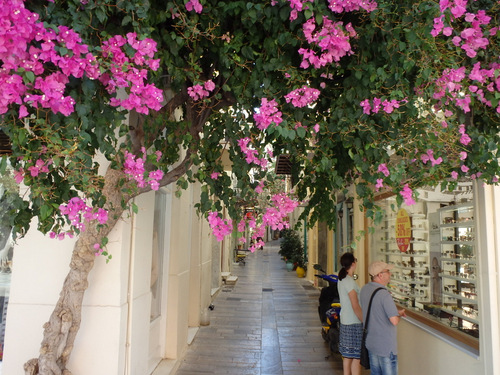 A walk through the edge of modern Nafplio.