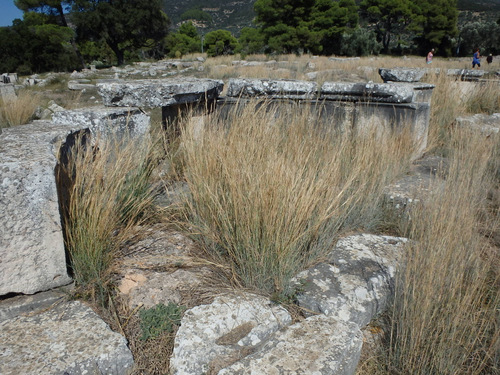 Epidaurus, Place of Ancient Healing.