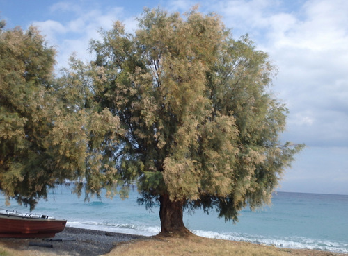 Cycling the Gulf of Corinth's coast.