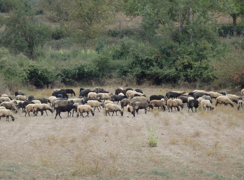 Cycle from Kalavrita to Patras.